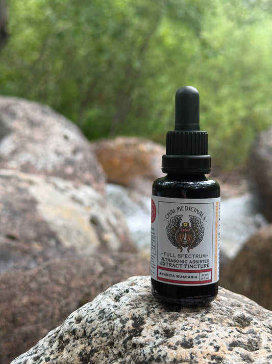 Amanita Muscaria Ultrasonic Assisted Extract Tincture