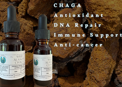 Chaga Double Extract Tincture - Alaskan