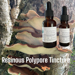 Resinous Polypore Double Extract Tincture