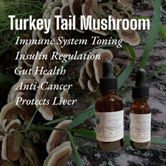 Turkey Tail Double Extract Tincture