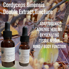 Cordyceps Double Extract Tincture