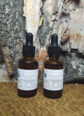 Usnea Double Extract Tincture - Wild Alaskan