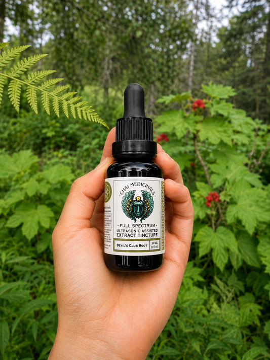 Devil's Club Wild Alaskan Ultrasonic Assisted Extract Tincture