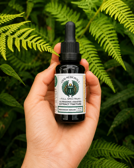 Mushroom Immune Ultrasonic Assisted Extract Tincture