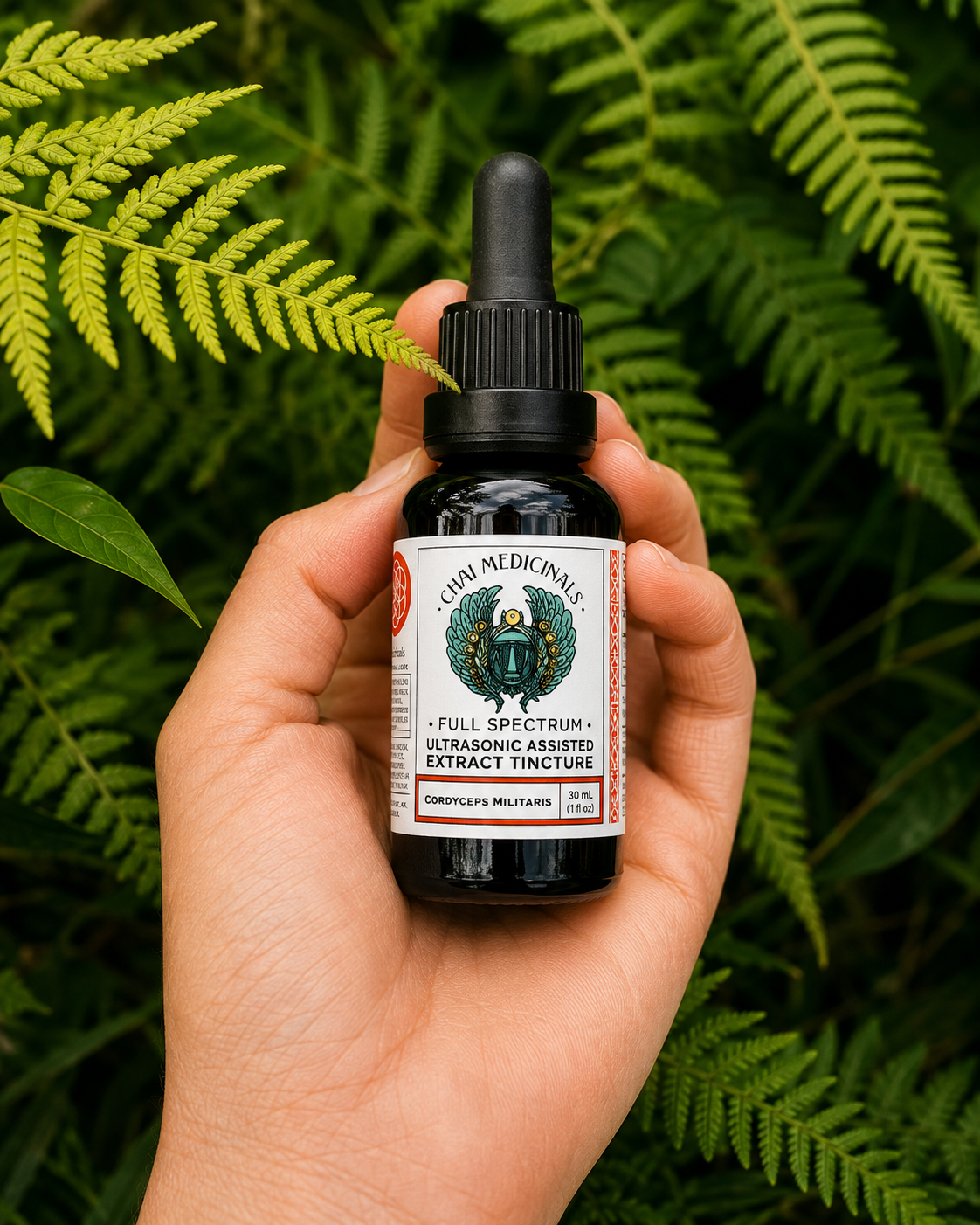 Cordyceps Militaris Ultrasonic Assisted Extract Tincture