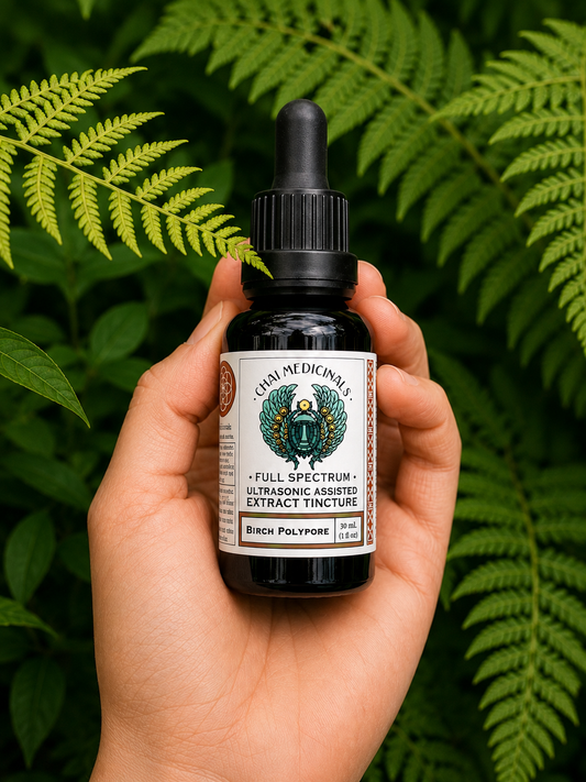Birch Polypore Ultrasonic Assisted Extract Tincture