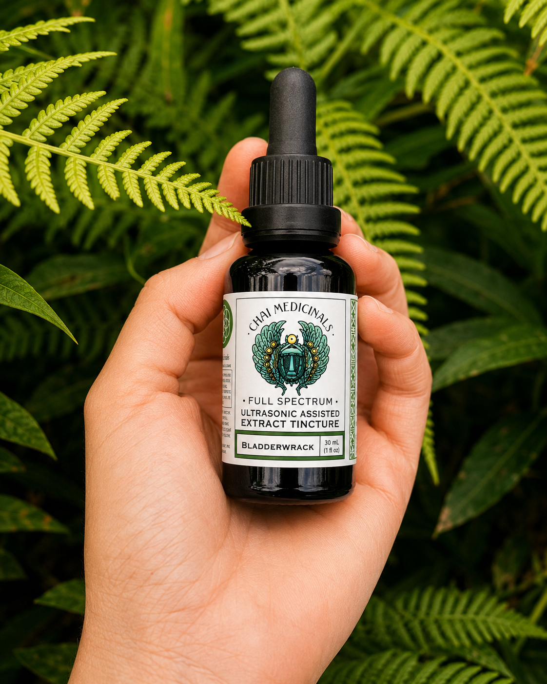 Bladderwrack Ultrasonic Assisted Extract Tincture
