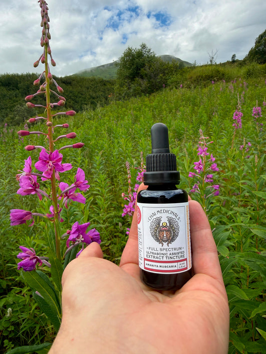 Amanita Muscaria Ultrasonic Assisted Extract Tincture