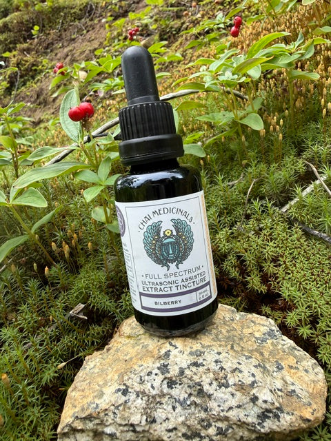 Bilberry Ultrasonic Assisted Extract Tincture