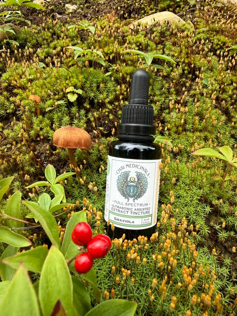 Graviola (Soursop) Ultrasonic Assisted Extract Tincture