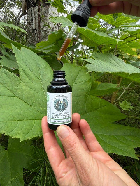 Graviola (Soursop) Ultrasonic Assisted Extract Tincture