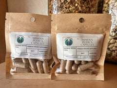 Mimosa Pudica Capsules