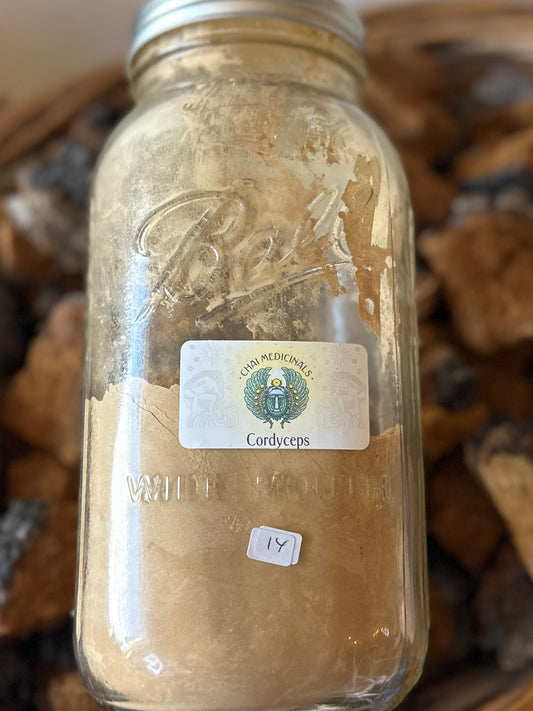 Cordyceps powder
