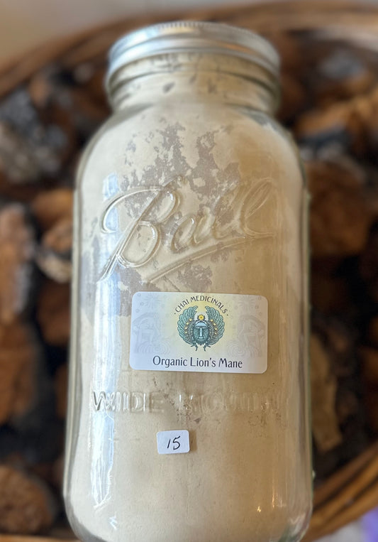 Lion’s Mane powder