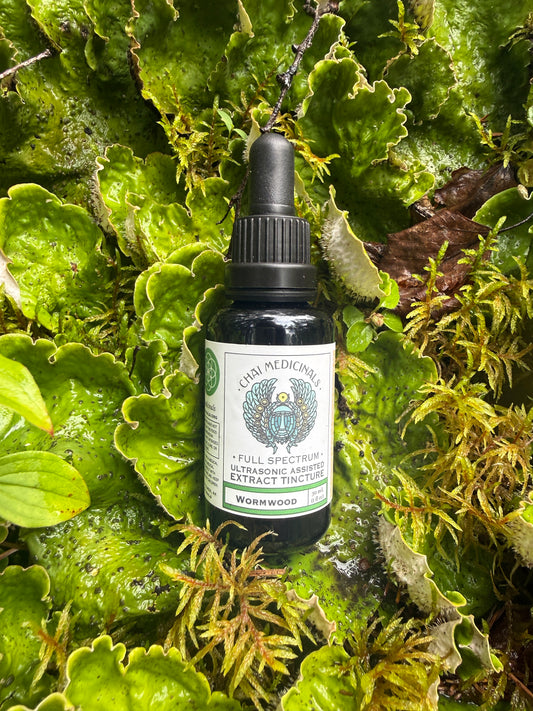 Wormwood Ultrasonic Assisted Extract Tincture