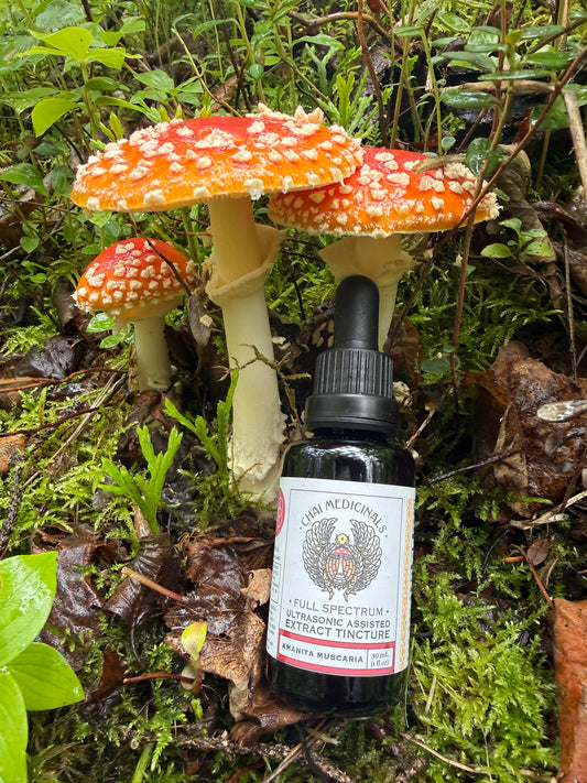 Amanita Muscaria Ultrasonic Assisted Extract Tincture