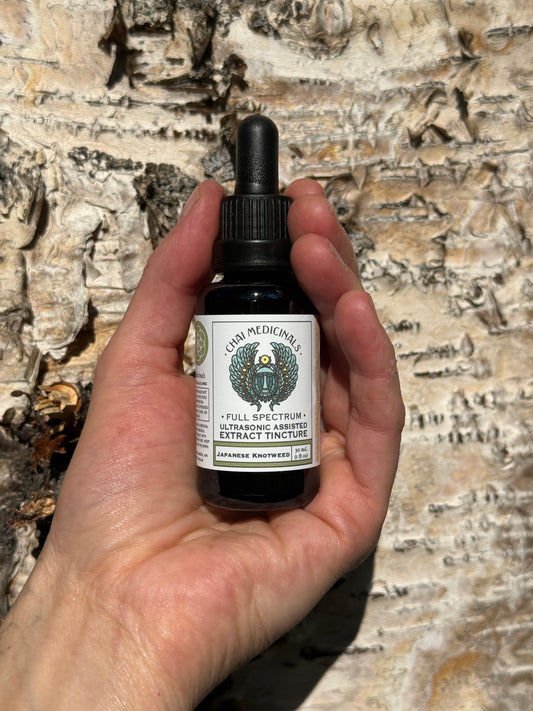 Japanese Knotweed Ultrasonic Assisted Extract Tincture