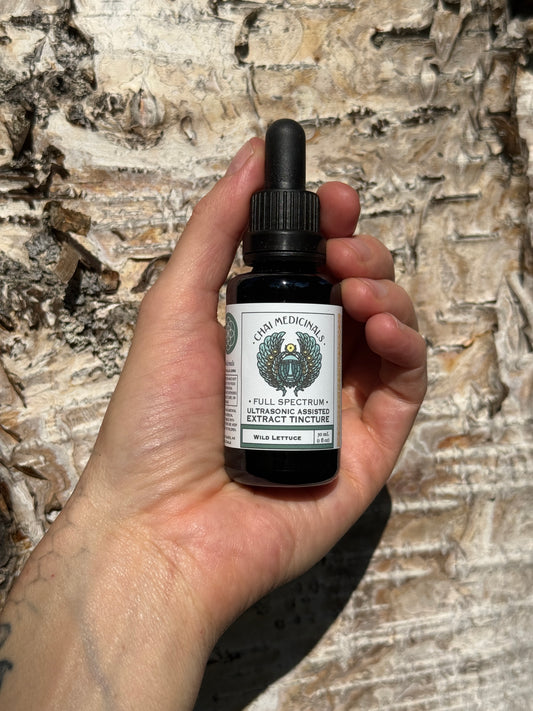 Wild Lettuce Ultrasonic Assisted Extract Tincture