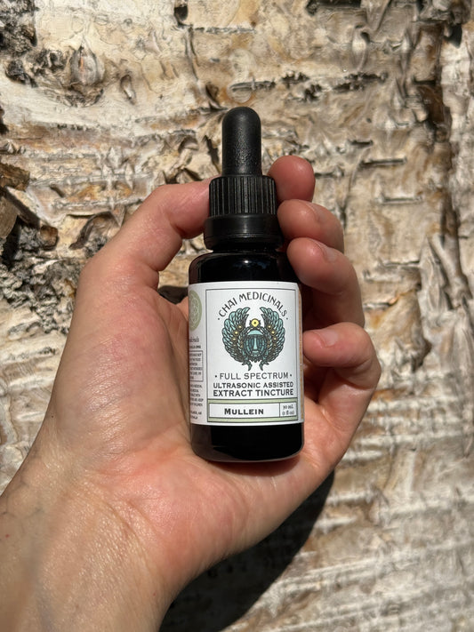 Mullein Ultrasonic Assisted Extract Tincture