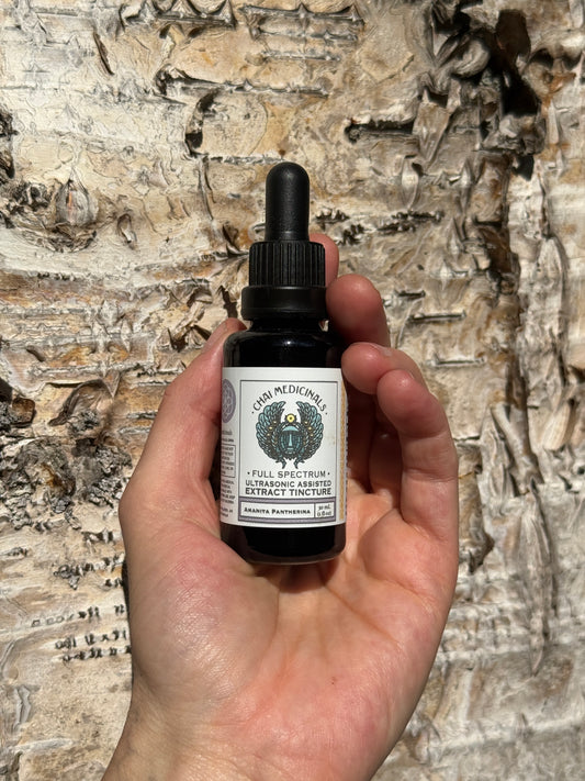 Amanita Pantherina Ultrasonic Assisted Extract Tincture