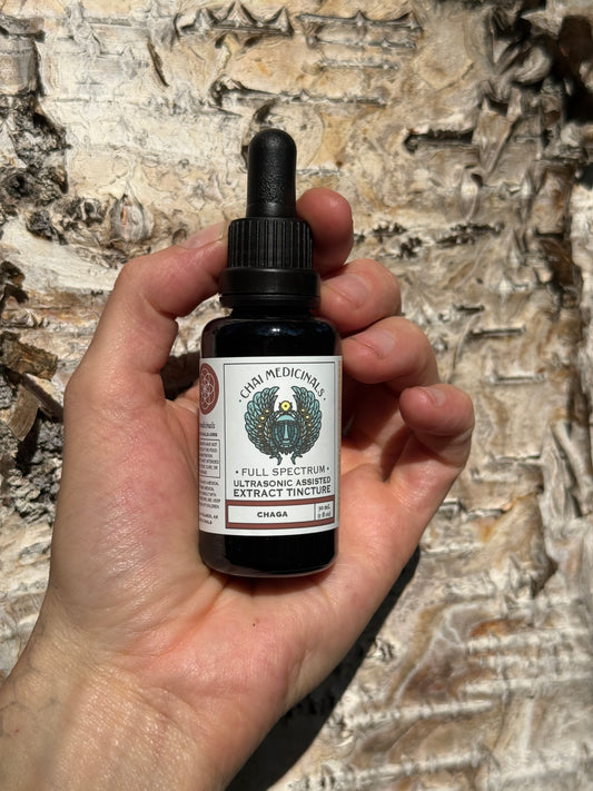 Alaskan Chaga Ultrasonic Assisted Extract Tincture