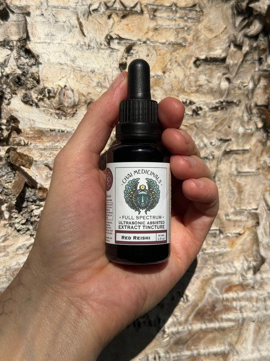 Red Reishi / Fruit and Spore - Ultrasonic Assisted Extract Tincture