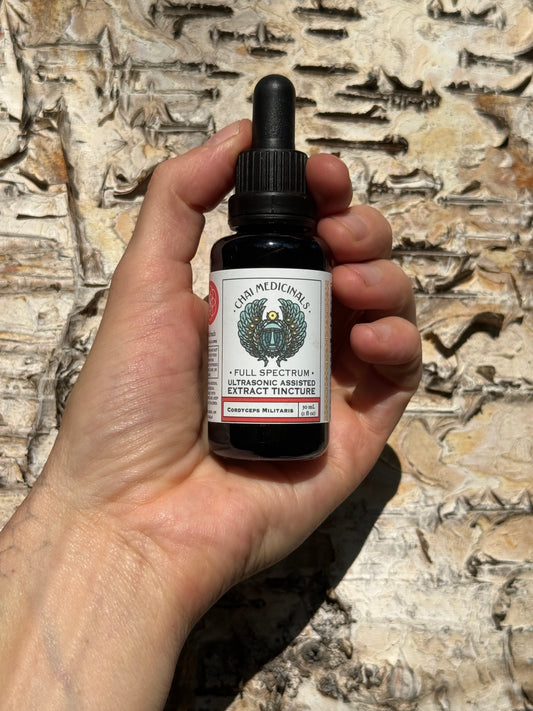 Cordyceps Militaris Ultrasonic Assisted Extract Tincture