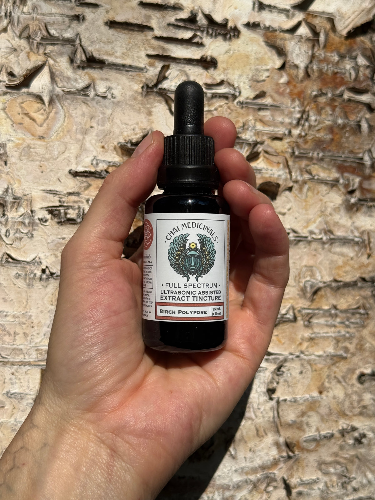 Birch Polypore Ultrasonic Assisted Extract Tincture