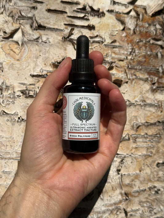 Birch Polypore Ultrasonic Assisted Extract Tincture