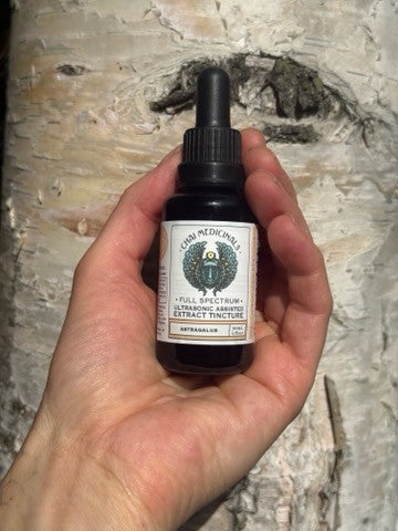Astragalus Ultrasonic Assisted Extract Tincture