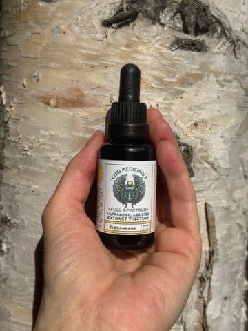 Elecampane Ultrasonic Assisted Extract Tincture