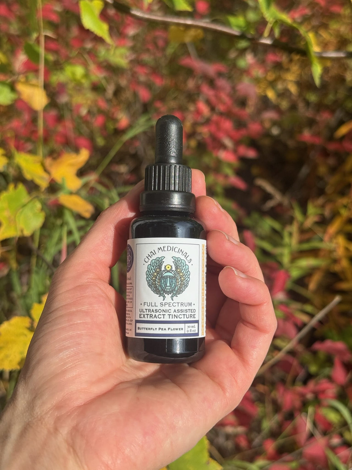 Butterfly Pea Flower Ultrasonic Assisted Extract Tincture