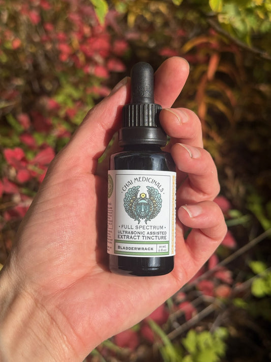 Bladderwrack Ultrasonic Assisted Extract Tincture