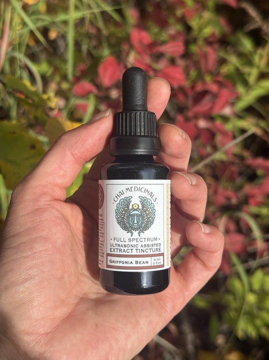 Griffonia Bean Ultrasonic Assisted Extract Tincture