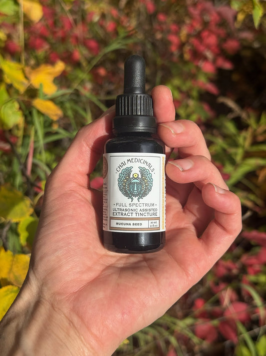 Mucuna Seed Ultrasonic Assisted Extract Tincture
