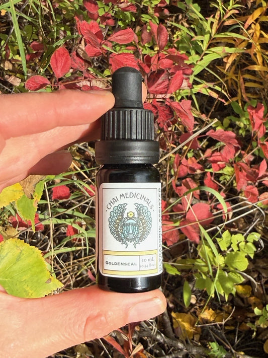 Goldenseal Ultrasonic Assisted Extract Tincture