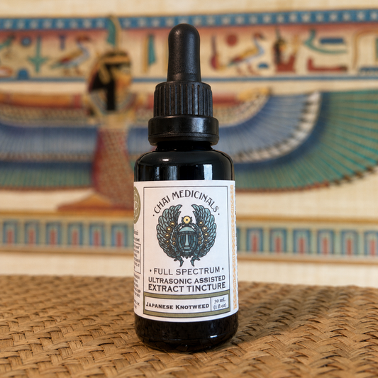 Japanese Knotweed Ultrasonic Assisted Extract Tincture