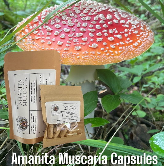Amanita Muscaria Capsules