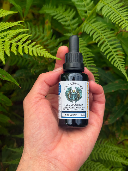 Skullcap Ultrasonic Assisted Extract Tincture