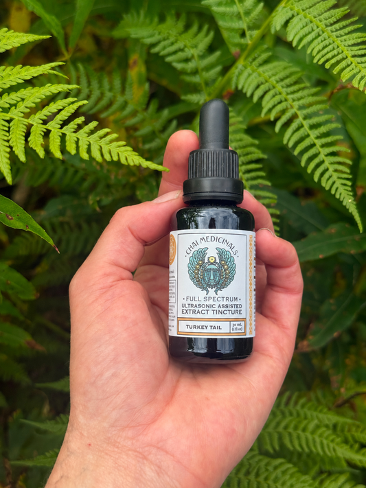 Turkey Tail Ultrasonic Assisted Extract Tincture