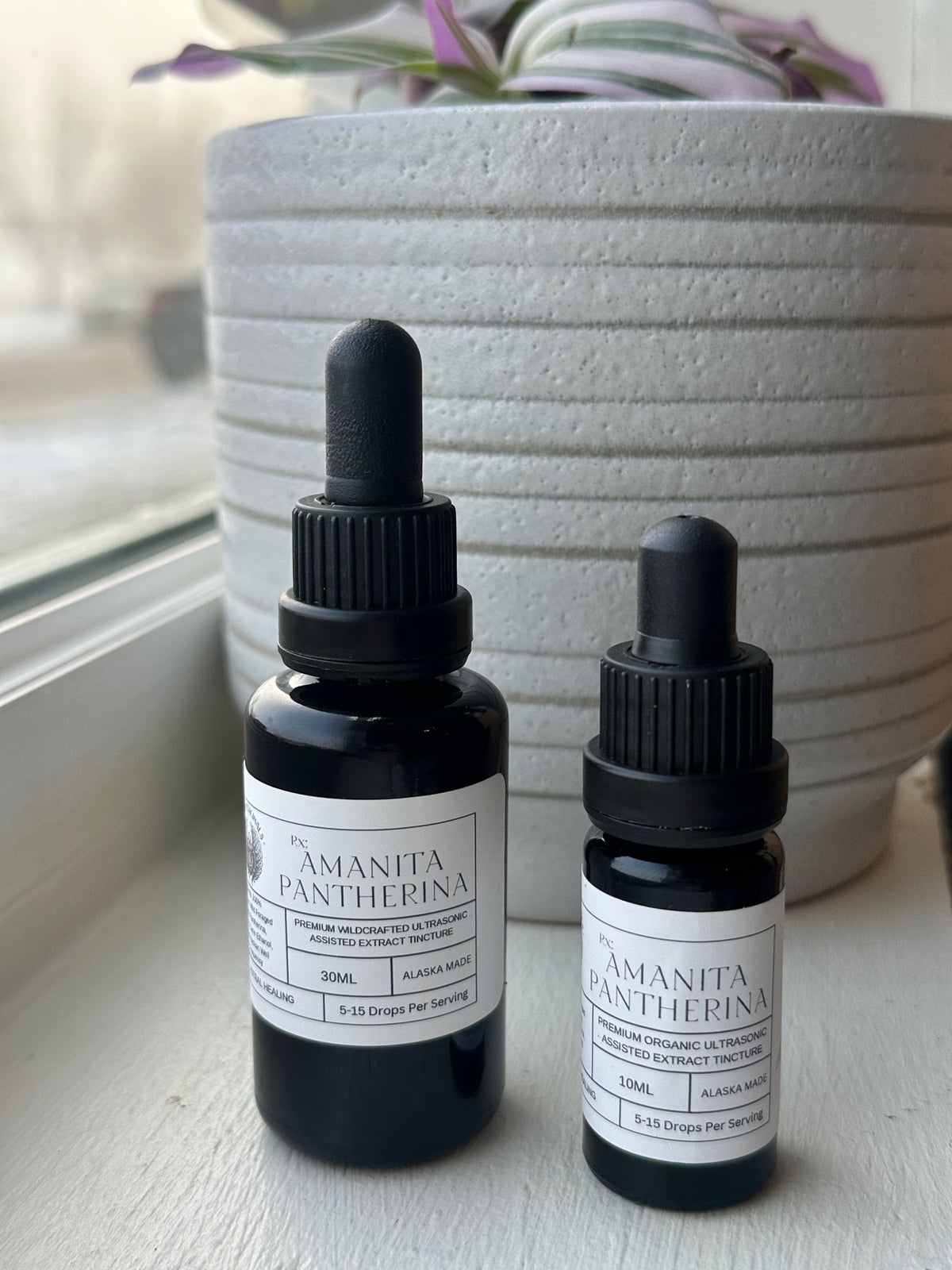 Amanita Pantherina Ultrasonic Extract Tincture