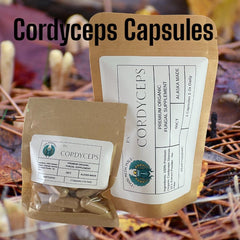 Cordyceps Capsules