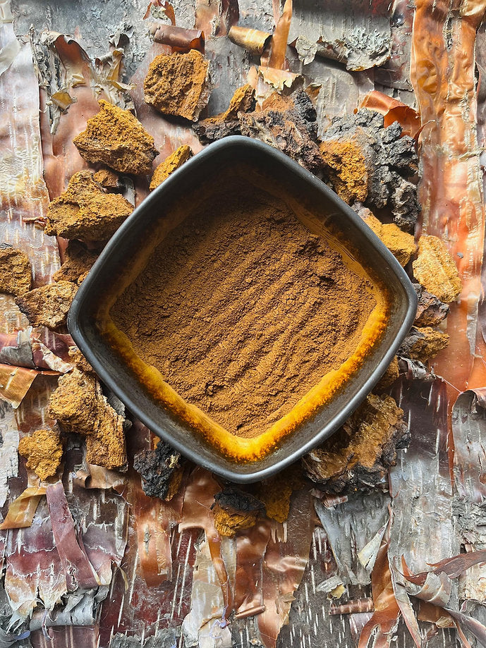 Alaska Chaga - Powdered