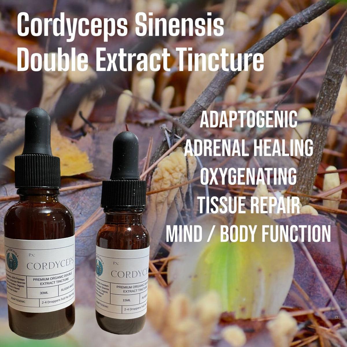Cordyceps Tincture