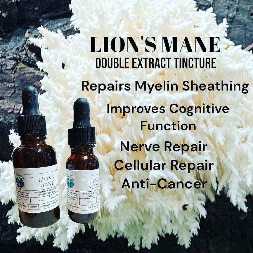 Lion's Mane Double Extract Tincture