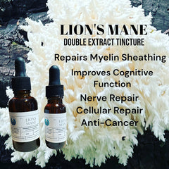 Lion's Mane Double Extract Tincture