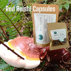 Red Reishi Capsules