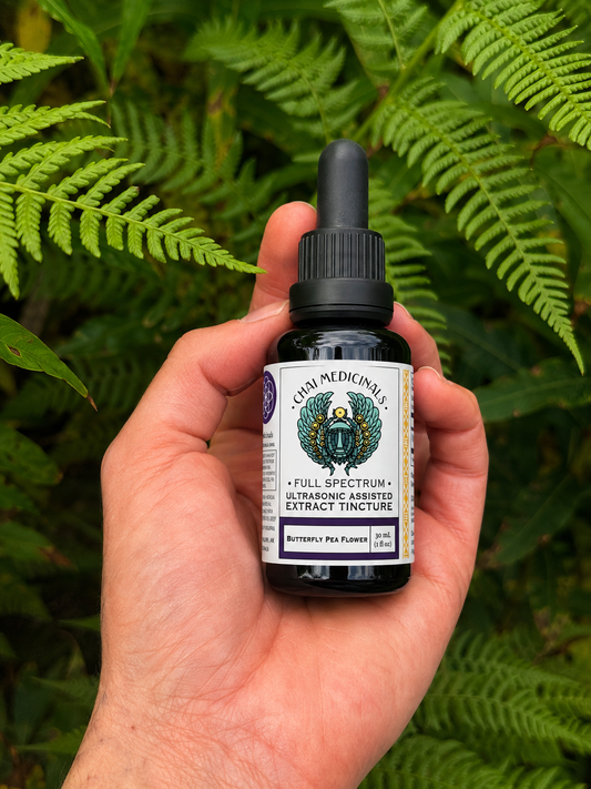 Butterfly Pea Flower Ultrasonic Assisted Extract Tincture